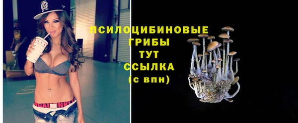 стаф Беломорск