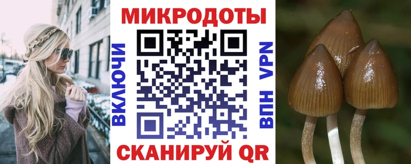 Псилоцибиновые грибы Psilocybe  Барнаул 